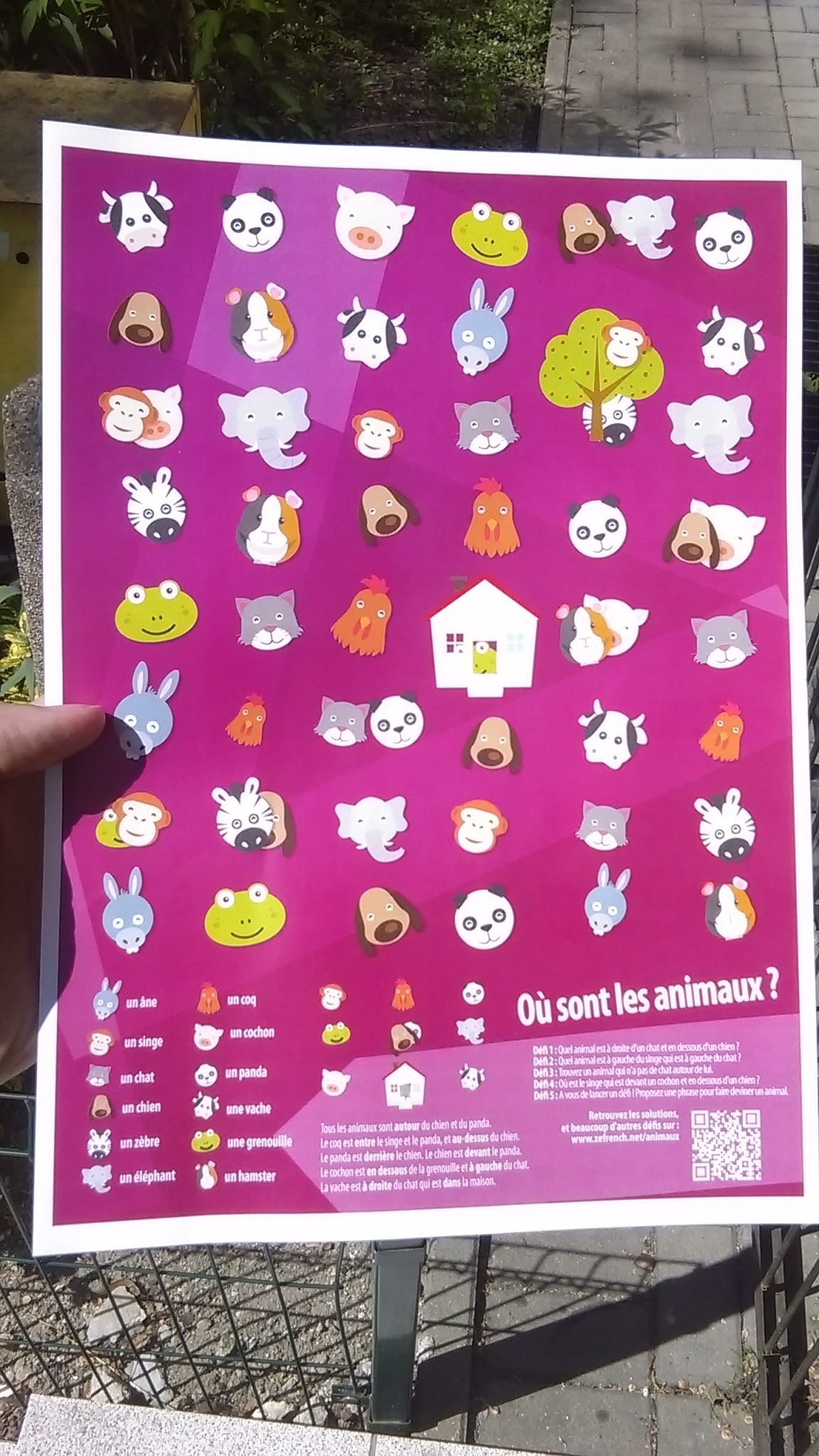 Poster jeu : où sont les animaux ? – Image 2