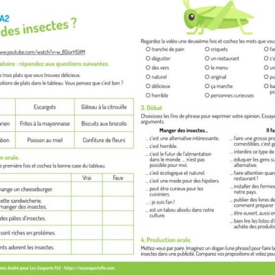 conversation A1 : insectes
