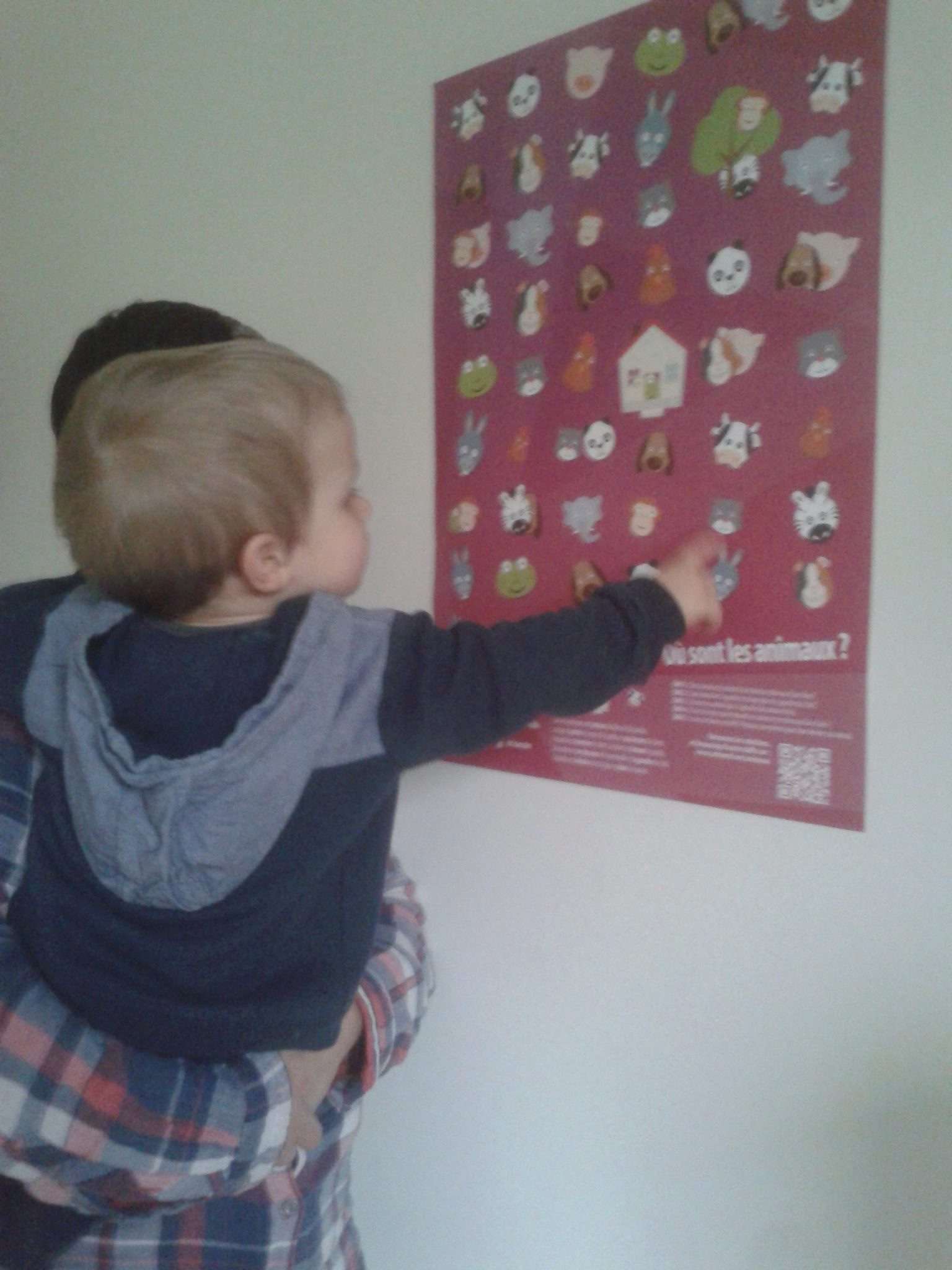 Poster jeu : où sont les animaux ? – Image 5
