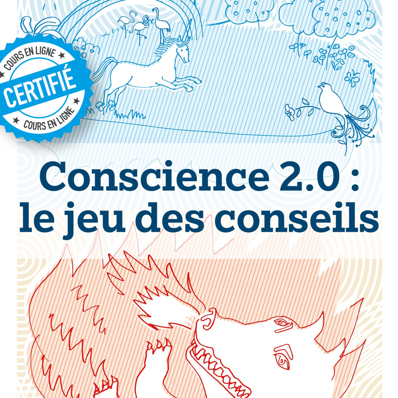 Jeu des conseils