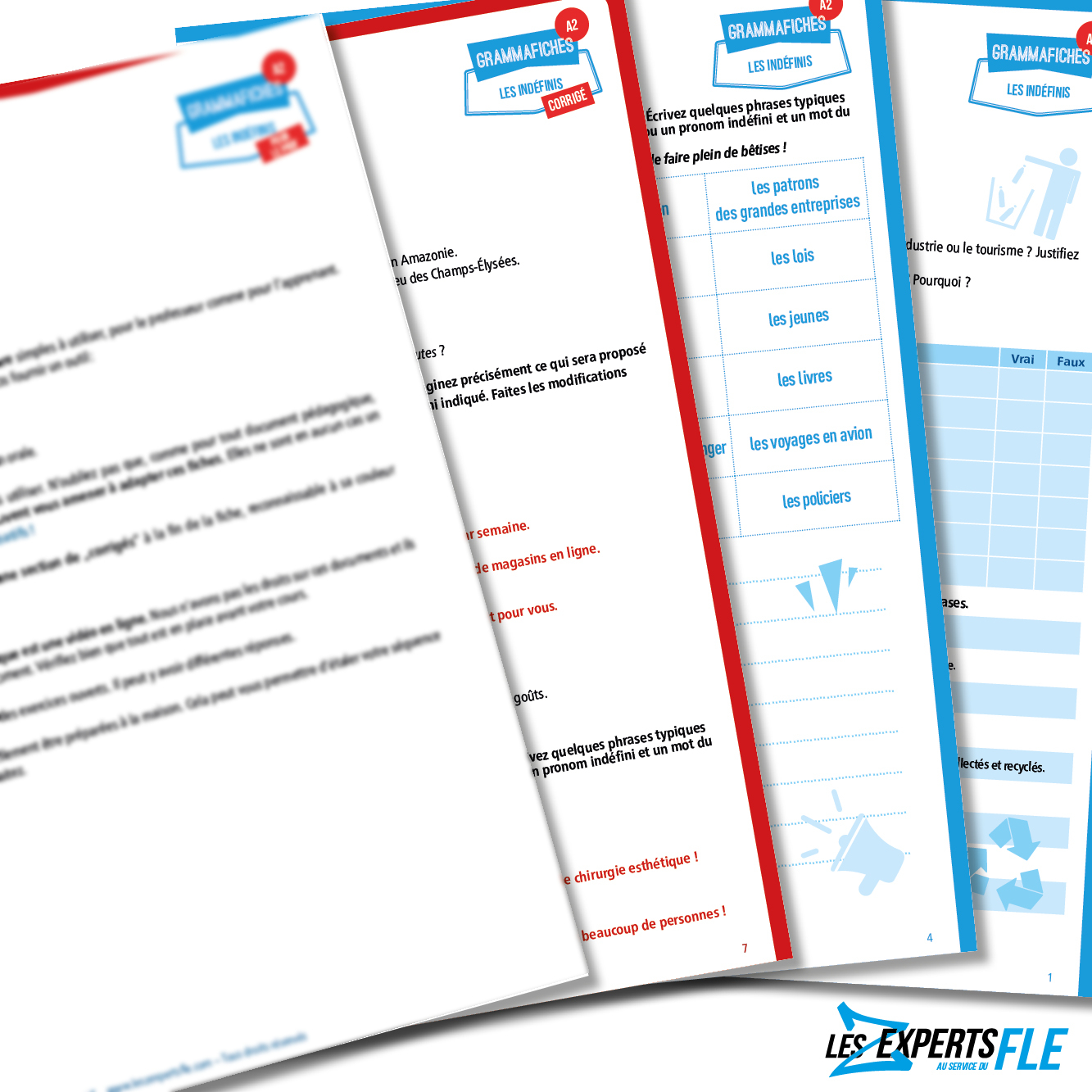 Fiche de grammaire FLE : les indéfinis A2 – Image 2