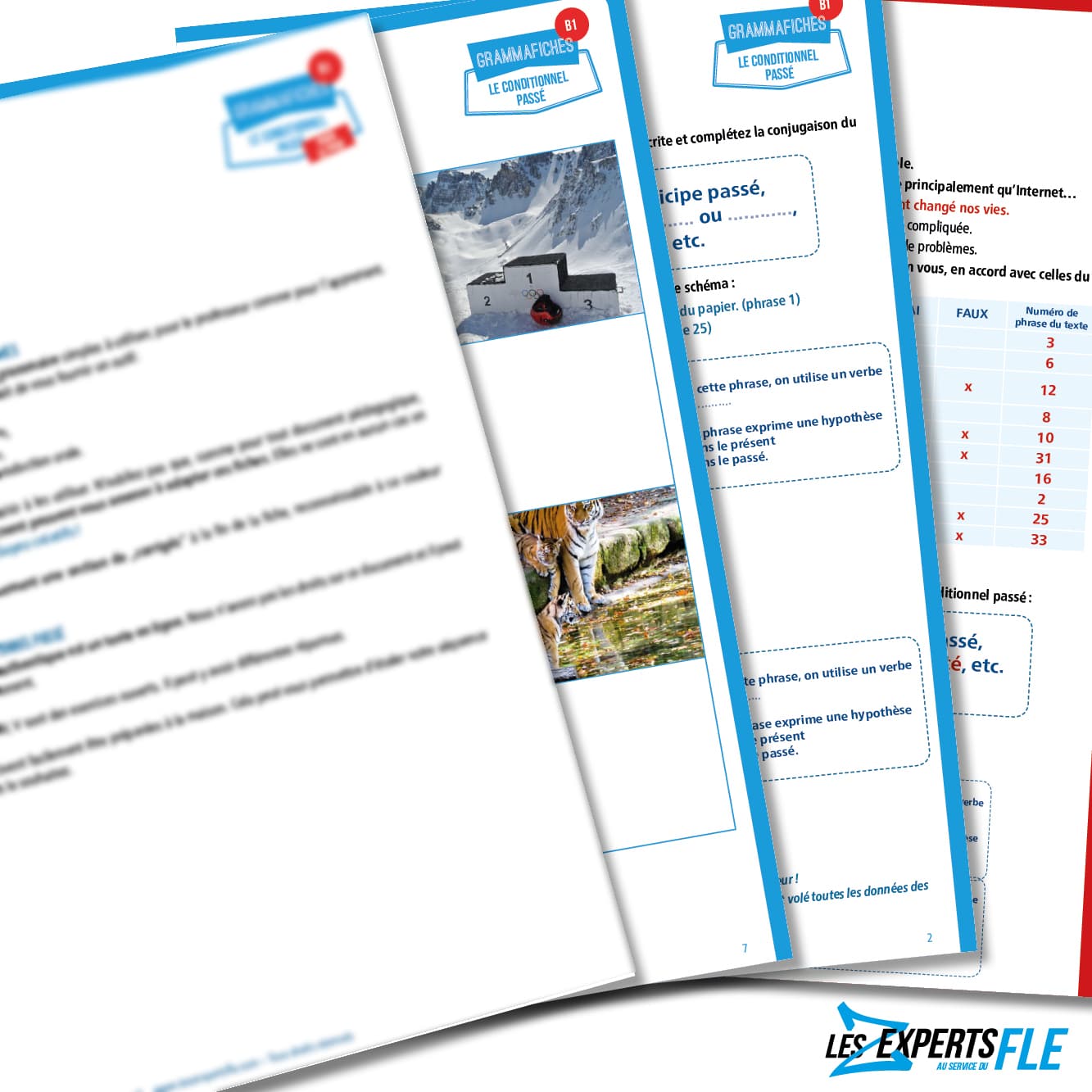 Fiche de grammaire FLE : le conditionnel passé B1 – Image 2