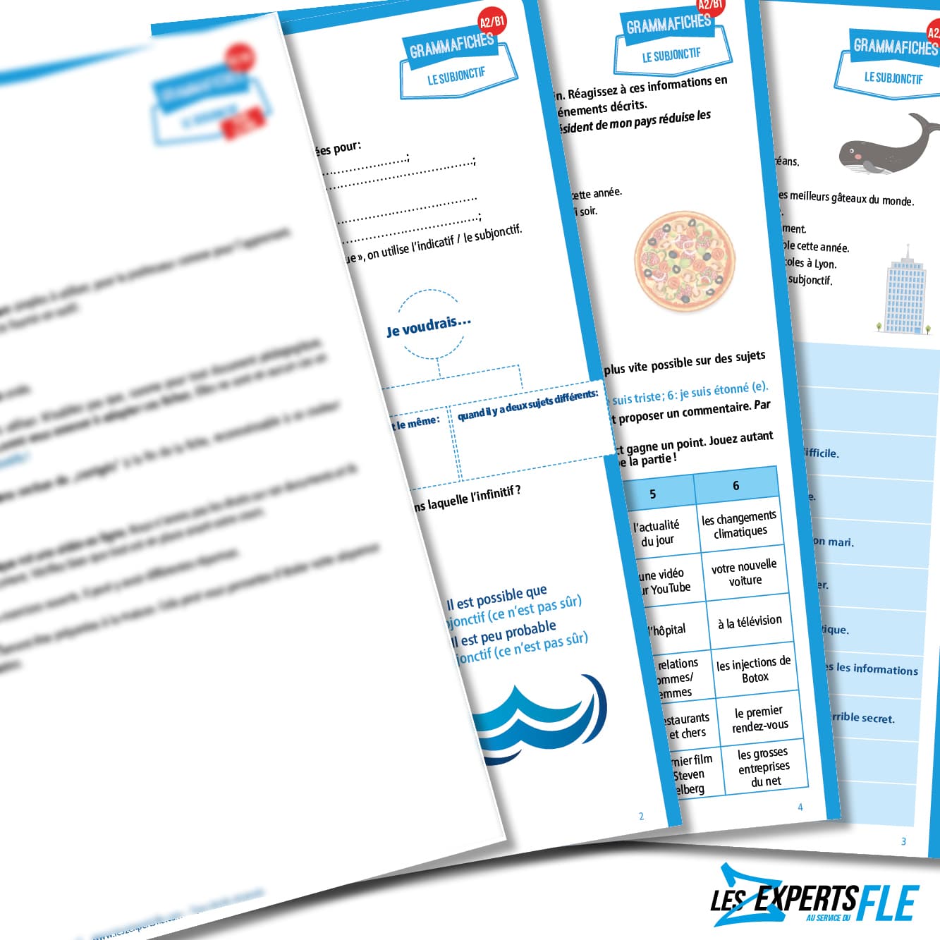 Fiche de grammaire FLE : subjonctif A2/B1 (émotions et probabilité) – Image 2