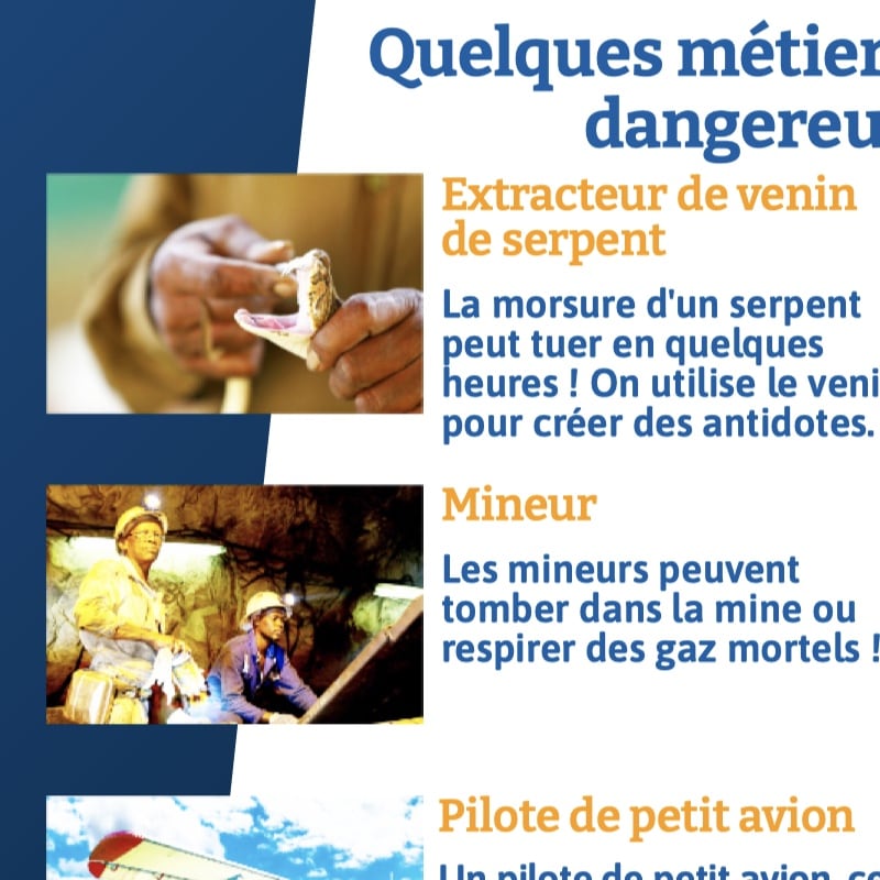 infographies sujets de société A1/A2