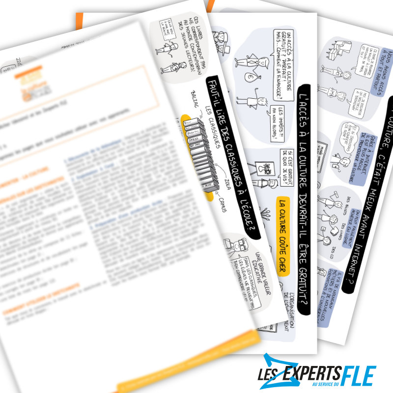 sketchnotes activité FLE pour parler de la culture DELF B1