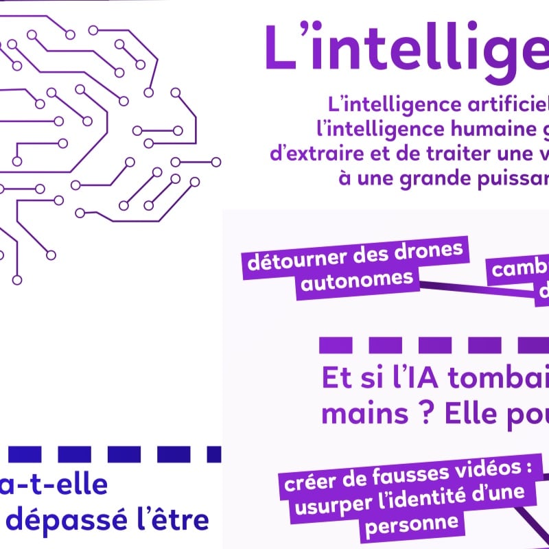 Zinfographie pack 5