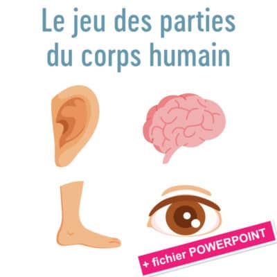 Le jeu des parties du corps