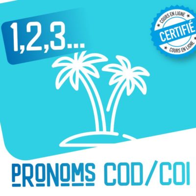 1,2,3 activités FLE pronoms COD COI