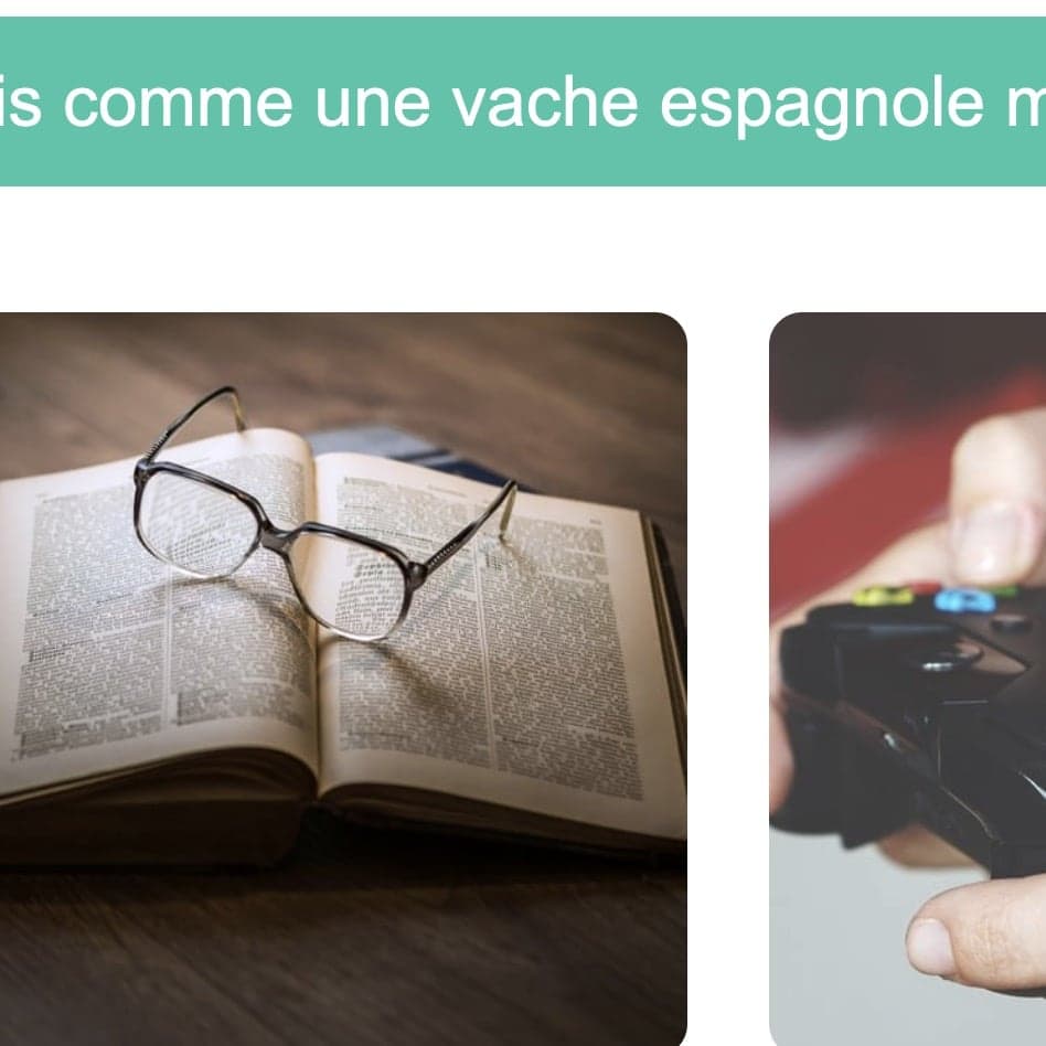 5 activités numériques expressions idiomatiques FLE A2