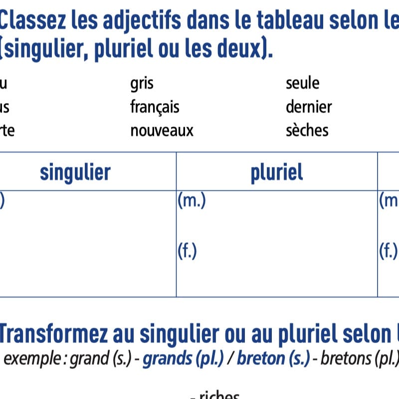 grammaire pack exercices fle A1