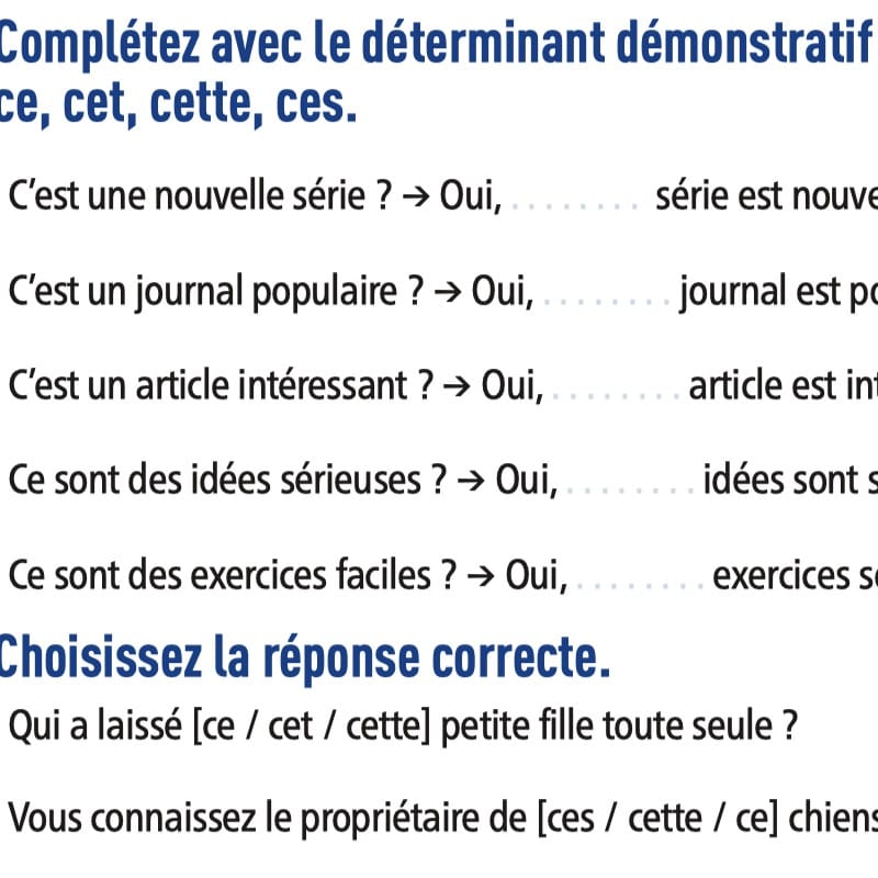 grammaire pack exercices fle A1