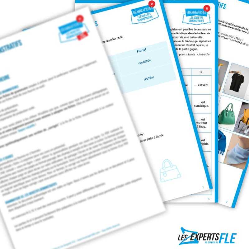 Fiche de grammaire : adjectifs démonstratifs A1