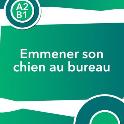 discussion chien bureau