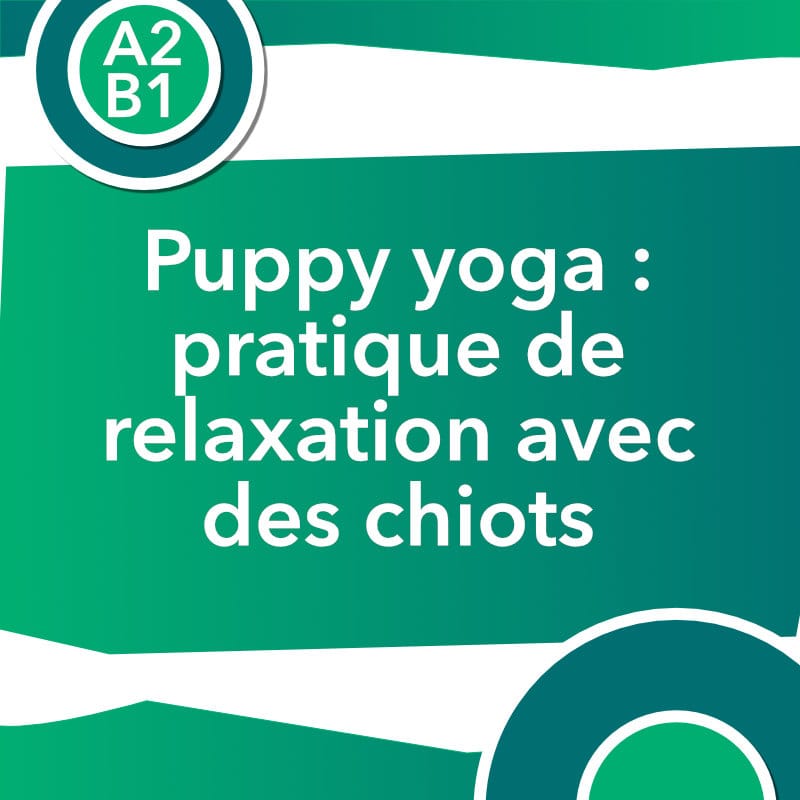 discussion puppy yoga