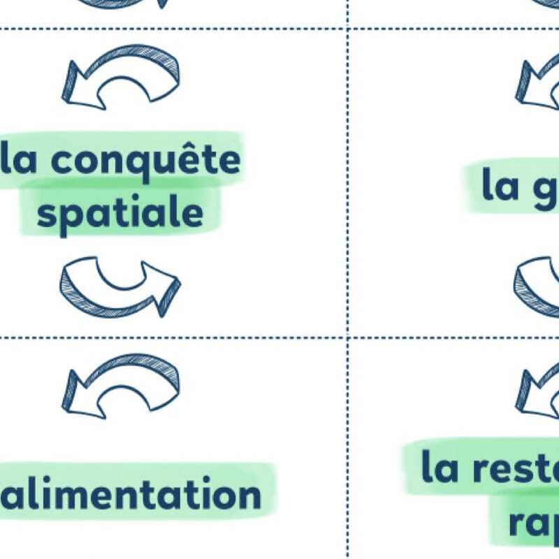 Jeu FLE sur la cause et la conséquence