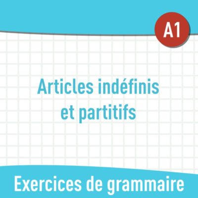 articles infinis et partitifs