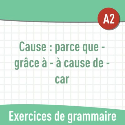Cause (A2) : exercices de grammaire en PDF