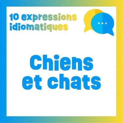 Poster 10 expressions avec des chiens et des chats