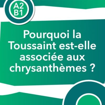 Discussion authentique : Pourquoi la Toussaint est-elle associée aux chrysanthèmes ?(A2/B1)