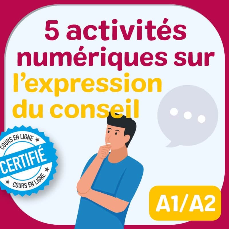 activités numériques FLE conseil