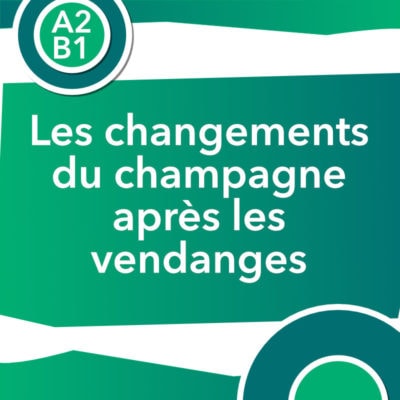 vendanges